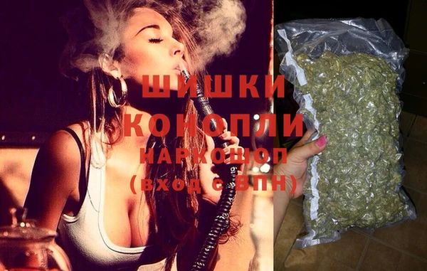 PSILOCYBIN Корсаков