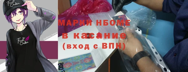 дмт Краснослободск