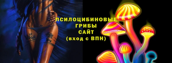 PSILOCYBIN Корсаков
