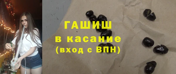 дмт Краснослободск