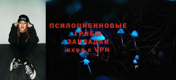 PSILOCYBIN Корсаков