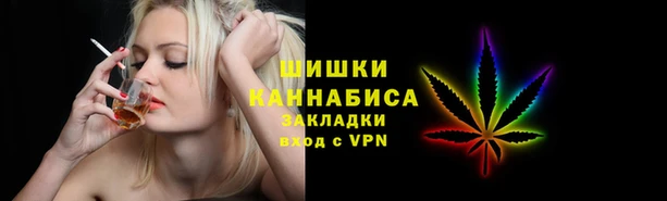 PSILOCYBIN Корсаков