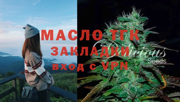 стаф Коряжма
