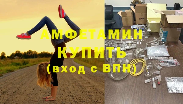 дмт Краснослободск
