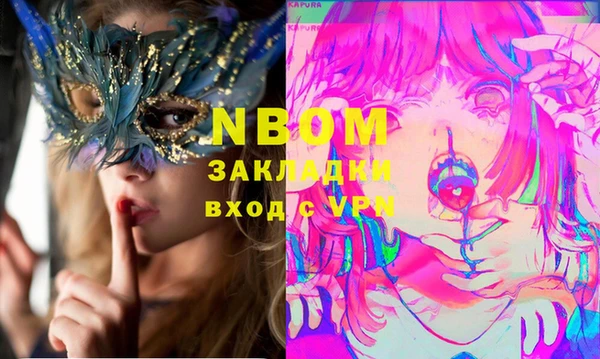 дмт Краснослободск