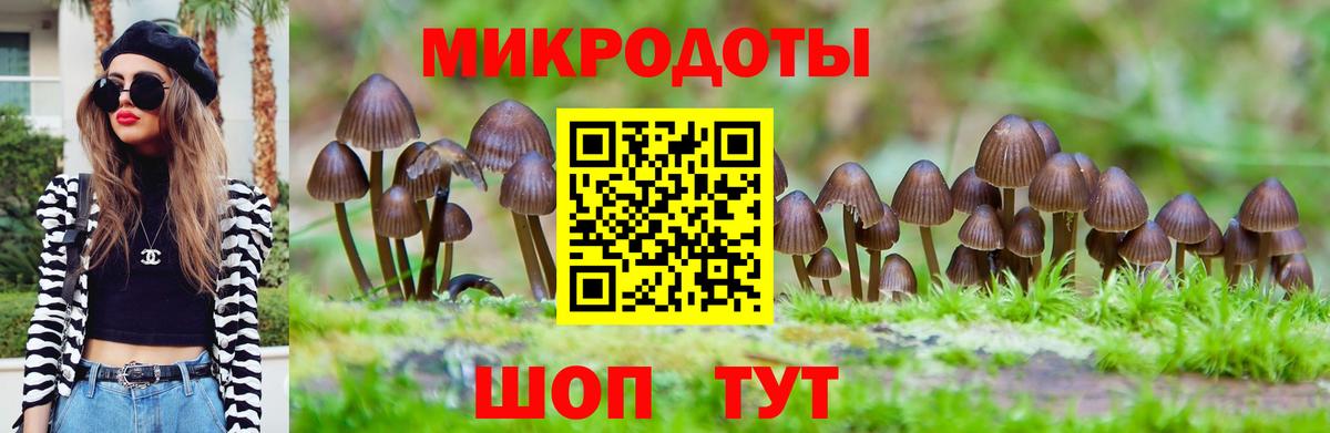 Котовск  Псилоцибиновые грибы MAGIC MUSHROOMS  Вход с VPN 