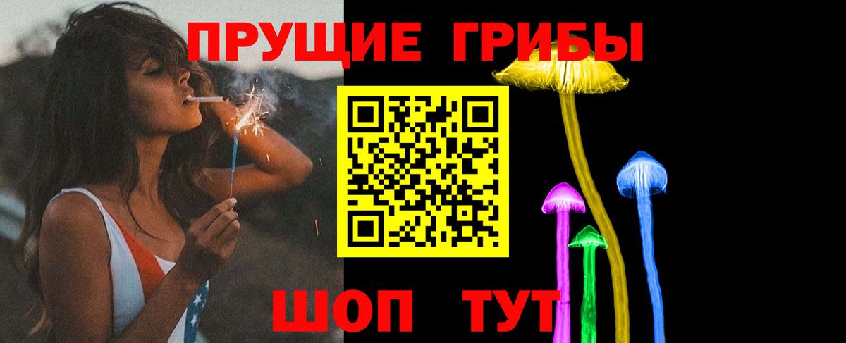 Псилоцибиновые грибы прущие грибы Котовск